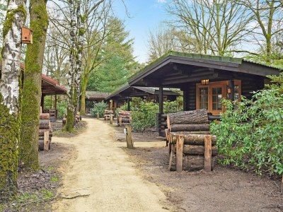 Holiday park Ferienhaus in Brabant mit Whirlpool - Outdoor photo 2