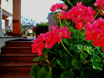 Holiday apartment residence orchidea with pool and parking - Outdoor photo 14