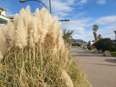 Holiday apartment residence orchidea with pool and parking - Environment photo 26