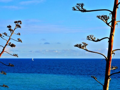 Holiday apartment residence orchidea with pool and parking - Environment photo 28