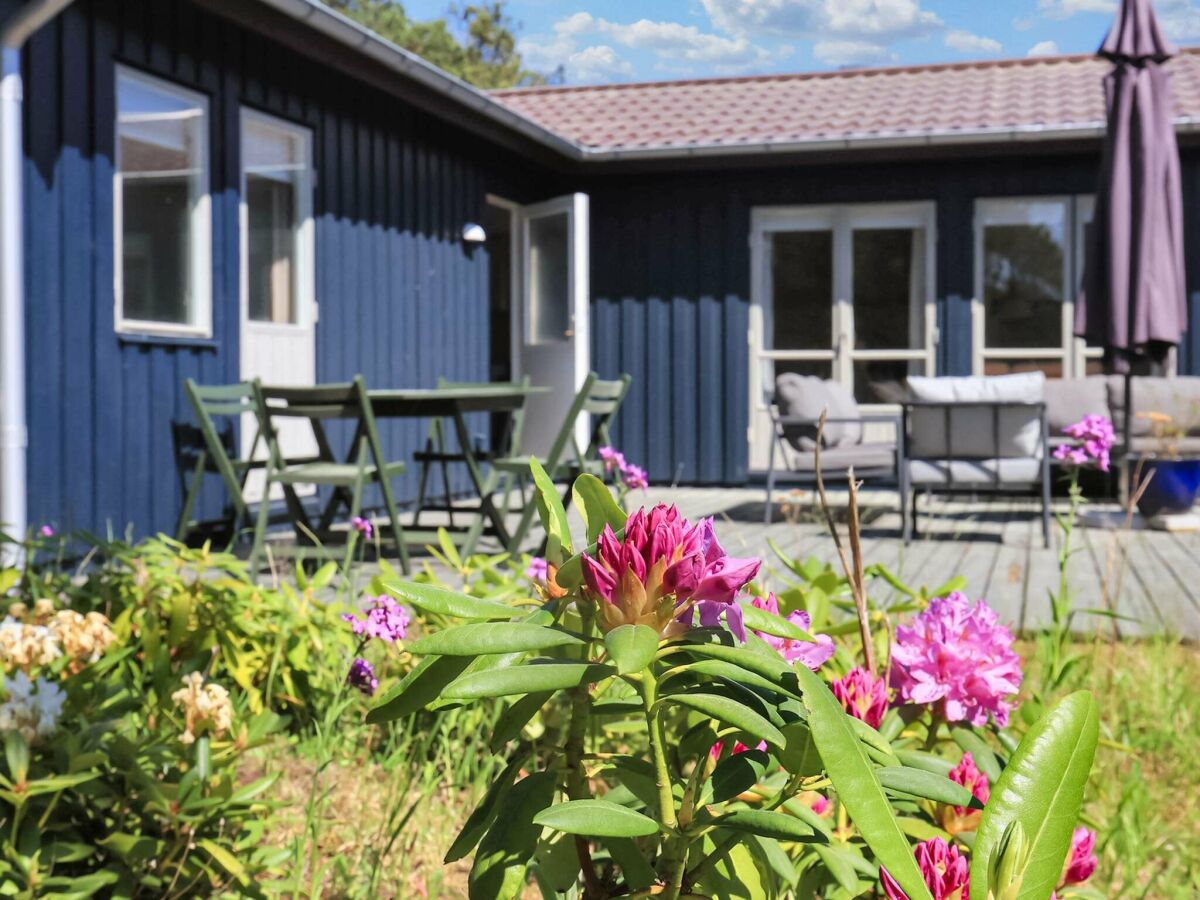 Holiday house Familienfreundliche Hutte -- By Traum Ferienwohnungen - Outdoor photo 3