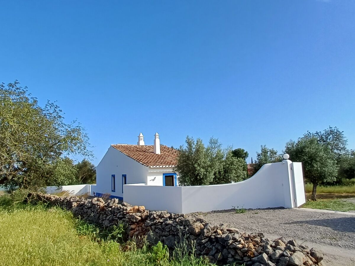 Holiday house Casa Olive Tree