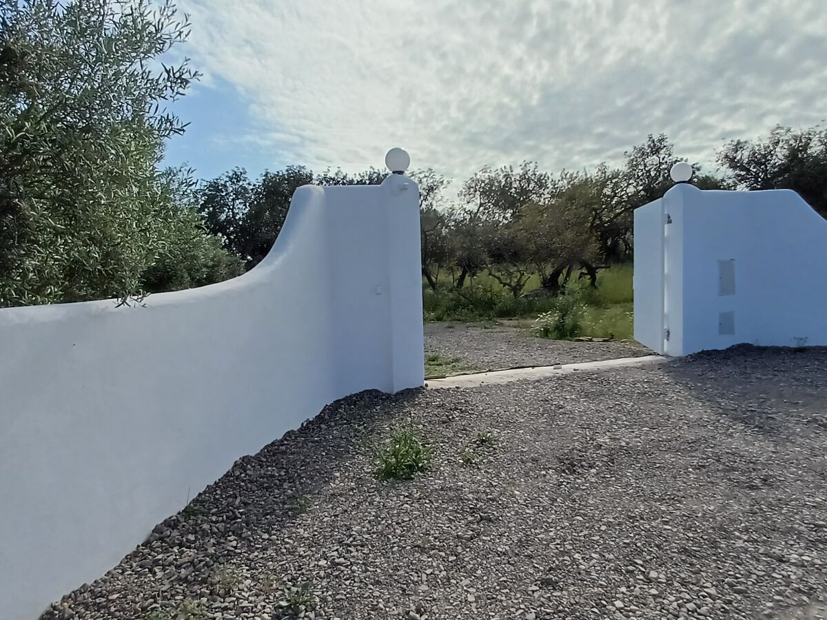 Holiday house Casa Olive Tree - Outdoor photo 2