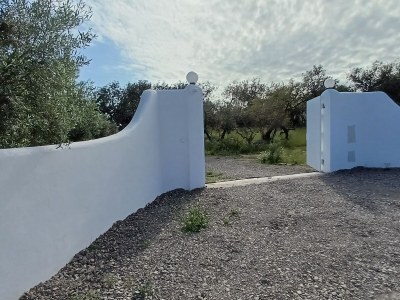 Holiday house Casa Olive Tree - Outdoor photo 2