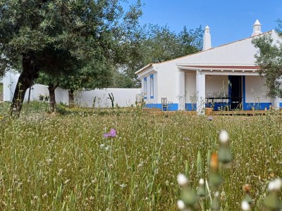 Holiday house Casa Olive Tree - Outdoor photo 3