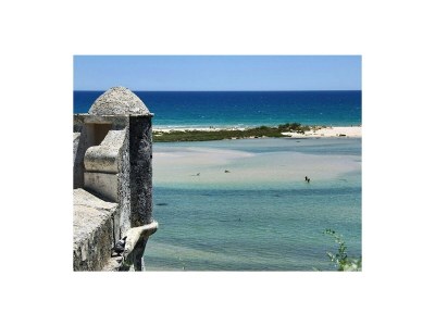 Holiday house Casa Olive Tree - Environment photo 15