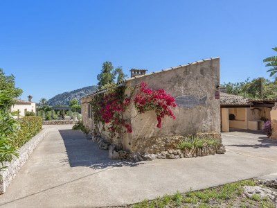 Holiday house Can Nico - Outdoor photo 10