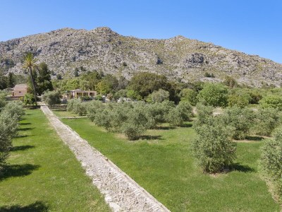 Holiday house Can Nico - Environment photo 31