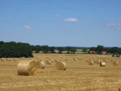 Holiday apartment Vergissmeinnicht - Environment photo 19