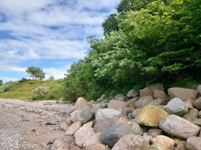 Holiday house 6 Personen Ferienhaus in Brenderup Fyn-By Traum - Outdoor photo 8