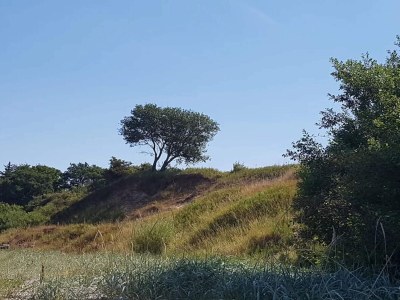 Holiday house 6 Personen Ferienhaus in Brenderup Fyn-By Traum - Outdoor photo 9