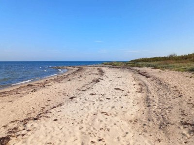 Holiday house 6 Personen Ferienhaus in Brenderup Fyn-By Traum - Outdoor photo 18