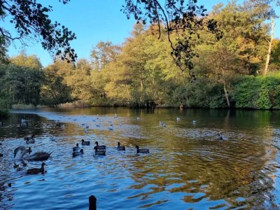 Holiday house 6 Personen Ferienhaus in Brenderup Fyn-By Traum - Outdoor photo 27