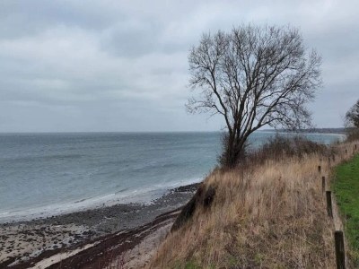 Holiday house 6 Personen Ferienhaus in Brenderup Fyn-By Traum - Outdoor photo 35