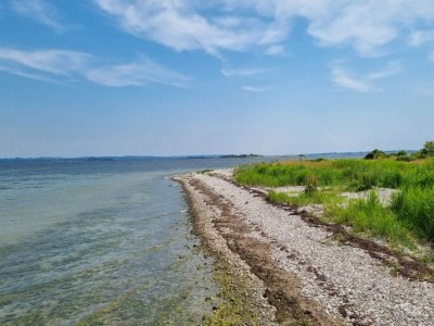 Holiday house 6 Personen Ferienhaus in Brenderup Fyn-By Traum - Outdoor photo 38