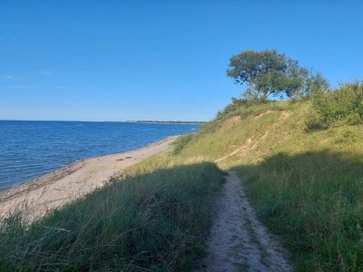 Holiday house 6 Personen Ferienhaus in Brenderup Fyn-By Traum - Outdoor photo 55