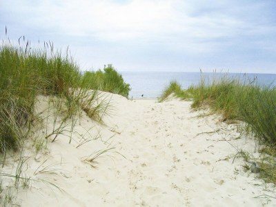 Apartment Reihenhaus Dünenwaldhaus in Trassenheide - Environment photo 34