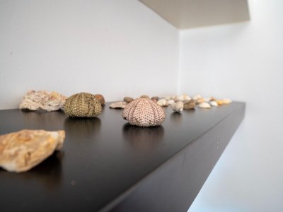 Holiday house Ferienhaus in Denia mit Pool und Garten - Outdoor photo 40