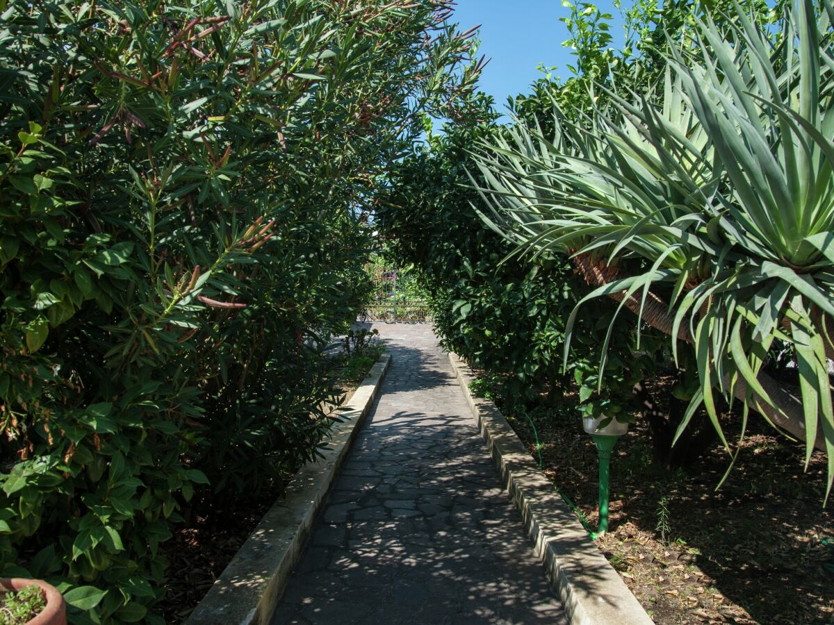 Holiday house Ferienhaus in Sizilien mit Meerblick - Outdoor photo 4
