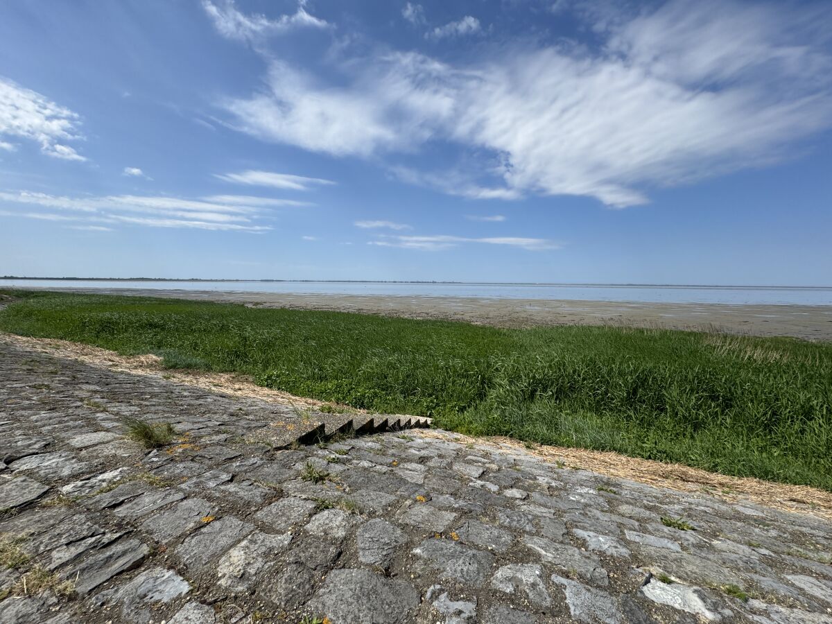 Chalet Vakantiehuisje aan de Waddenzee - Outdoor photo 2