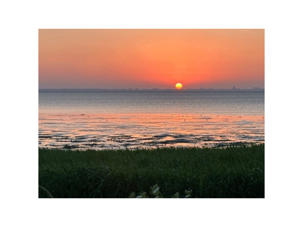 Chalet Vakantiehuisje aan de Waddenzee - Outdoor photo 5