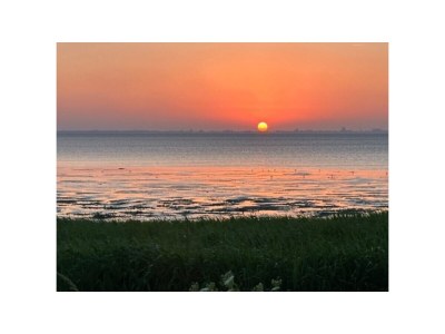 Chalet Vakantiehuisje aan de Waddenzee - Outdoor photo 5