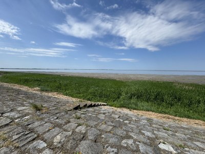 Chalet Vakantiehuisje aan de Waddenzee - Outdoor photo 8