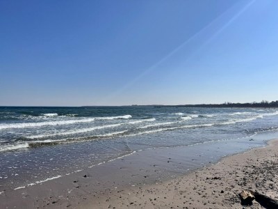 Apartment BEECH Resort Boltenhagen - Environment photo 19