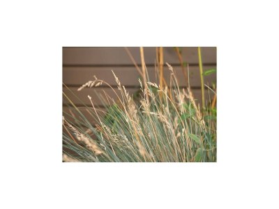 Apartment BEECH Resort Boltenhagen - Outdoor photo 20