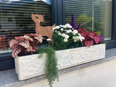 Holiday apartment barrier-free apartment Horberg - Apart Rauch - Outdoor photo 9