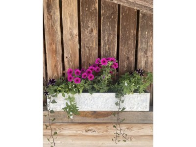 Holiday apartment barrier-free apartment Horberg - Apart Rauch - Outdoor photo 12