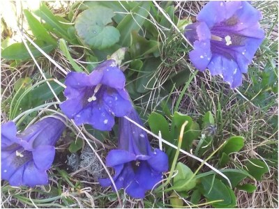 Holiday apartment barrier-free apartment Horberg - Apart Rauch - Environment photo 32