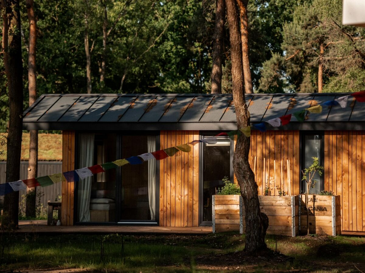 Holiday house Ferienhaus in Haarle nahe Sallandse Heuvelrug