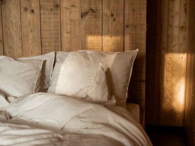 Holiday house Ferienhaus in Haarle nahe Sallandse Heuvelrug - Features photo 10