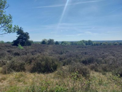 Holiday house Ferienhaus in Haarle nahe Sallandse Heuvelrug - Environment photo 15