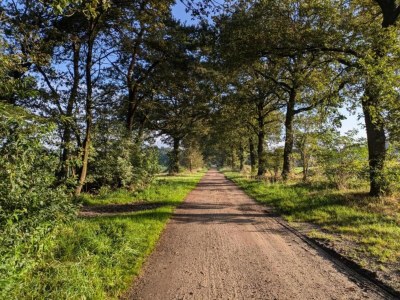 Holiday house Ferienhaus in Haarle nahe Sallandse Heuvelrug - Environment photo 19