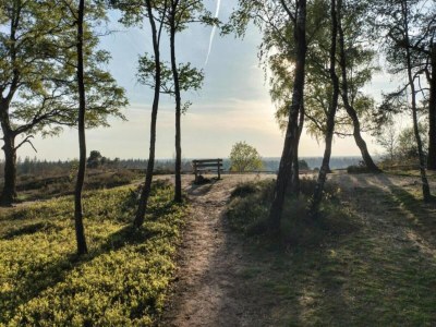 Holiday house Ferienhaus in Haarle nahe Sallandse Heuvelrug - Environment photo 20