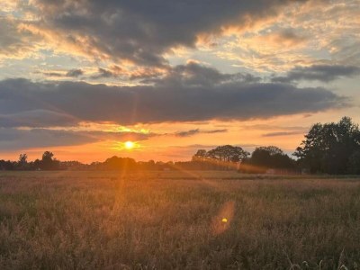 Holiday house Ferienhaus in Haarle nahe Sallandse Heuvelrug - Environment photo 21