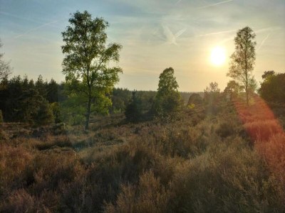 Holiday house Ferienhaus in Haarle nahe Sallandse Heuvelrug - Environment photo 22