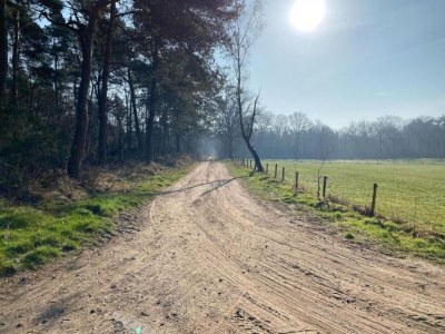 Holiday house Ferienhaus in Haarle nahe Sallandse Heuvelrug - Environment photo 23