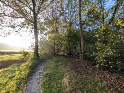 Holiday house Ferienhaus in Haarle nahe Sallandse Heuvelrug - Environment photo 25