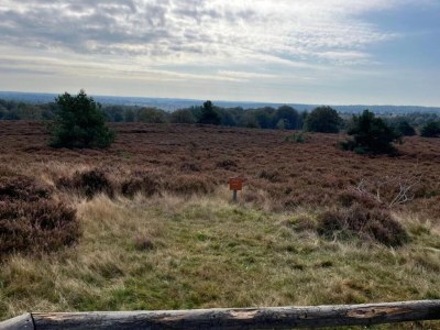 Holiday house Ferienhaus in Haarle nahe Sallandse Heuvelrug - Environment photo 26