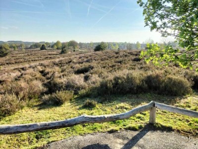 Holiday house Ferienhaus in Haarle nahe Sallandse Heuvelrug - Environment photo 27