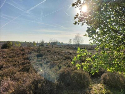 Holiday house Ferienhaus in Haarle nahe Sallandse Heuvelrug - Environment photo 29