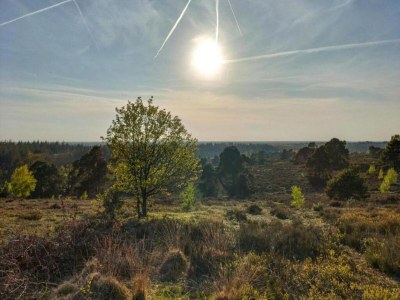 Holiday house Ferienhaus in Haarle nahe Sallandse Heuvelrug - Environment photo 30