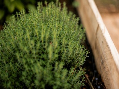 Holiday house Ferienhaus in Haarle nahe Sallandse Heuvelrug - Outdoor photo 33