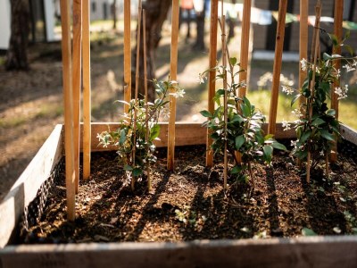 Holiday house Ferienhaus in Haarle nahe Sallandse Heuvelrug - Outdoor photo 34