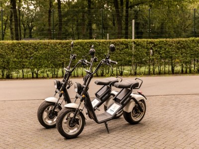 Holiday park Group Bungalows in Putten near Veluwe Forest - Outdoor photo 24