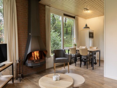 Holiday park Bungalow in Putten nahe Veluwe-Wald - Features photo 8
