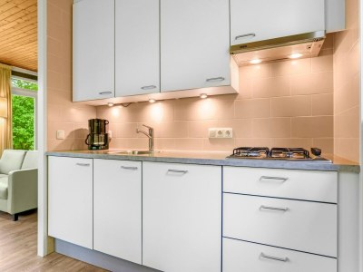 Holiday park Bungalow in Putten nahe Veluwe-Wälder - Features photo 7